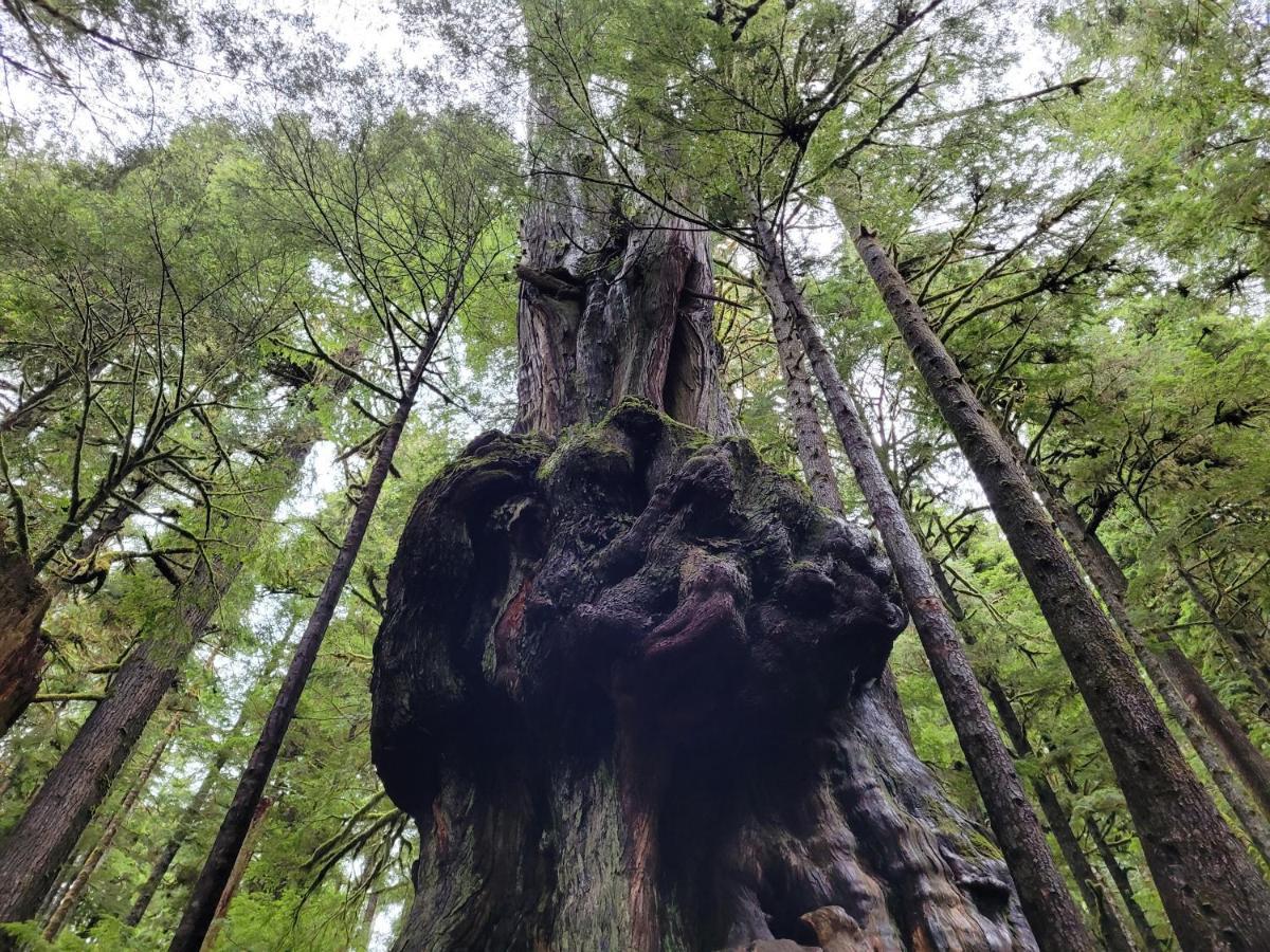 Port Renfrew Vacation Rentals Ngoại thất bức ảnh